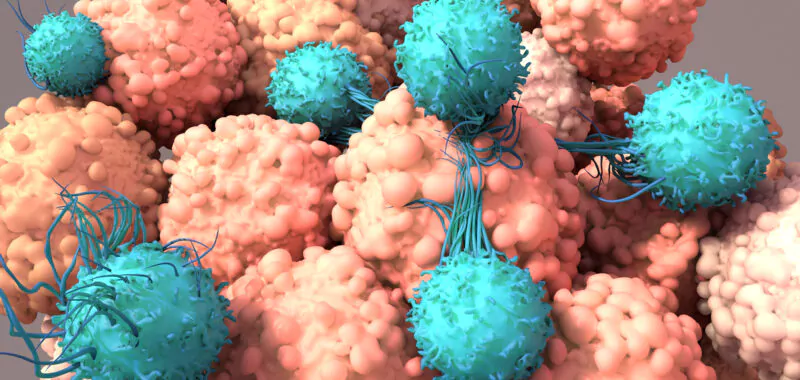 car-nk expert cabinet conseil consulting