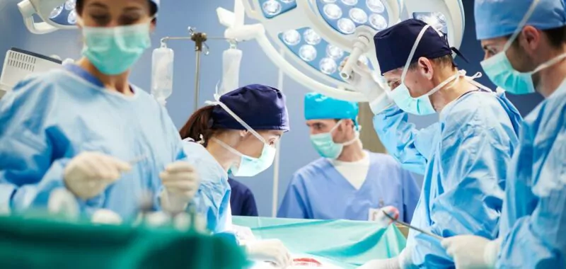 ex vivo lung experts consutling firm consultancy