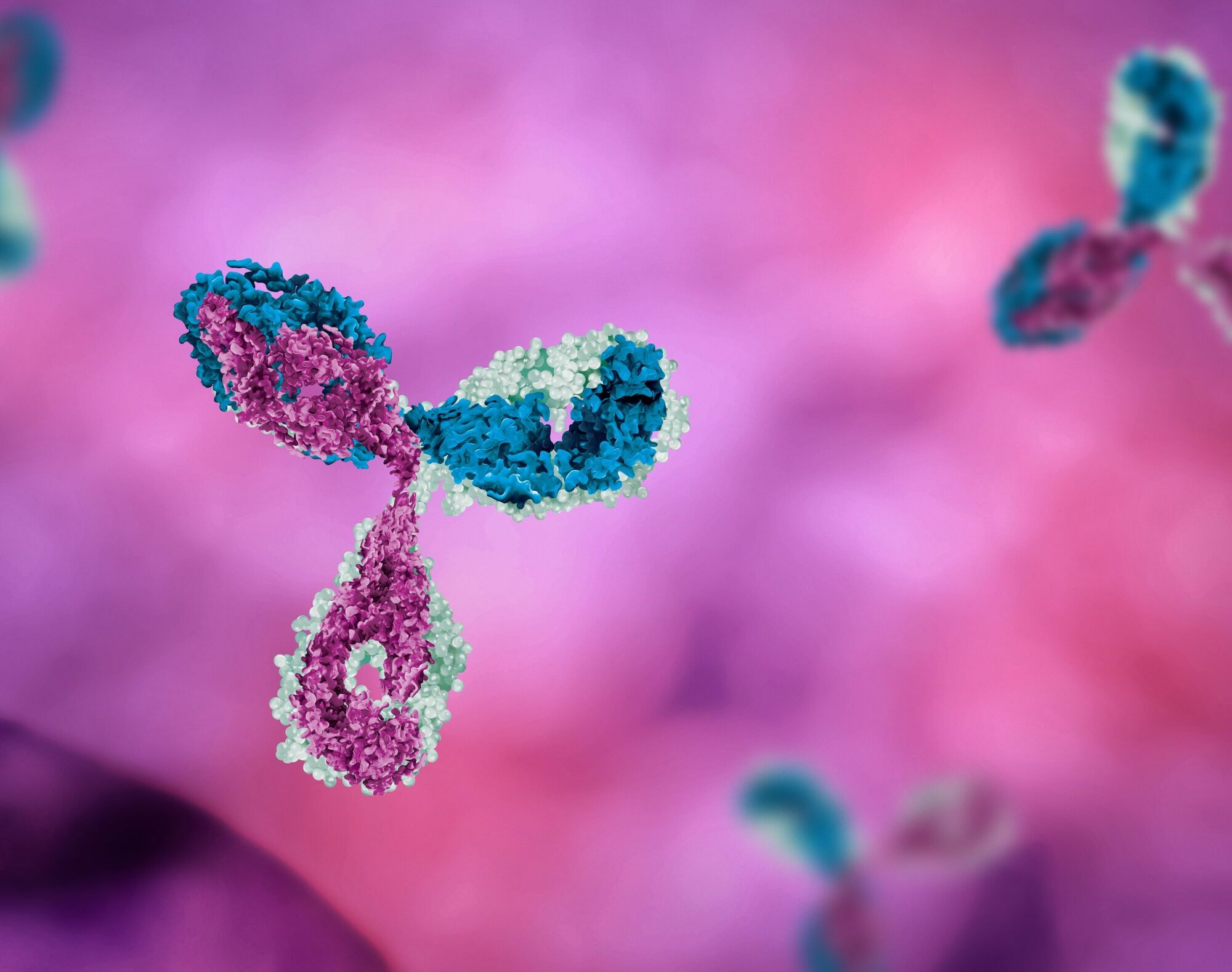 Antikörper Wirkstoff Konjugate Agentur Unternehmensberatung Beratung Consulting