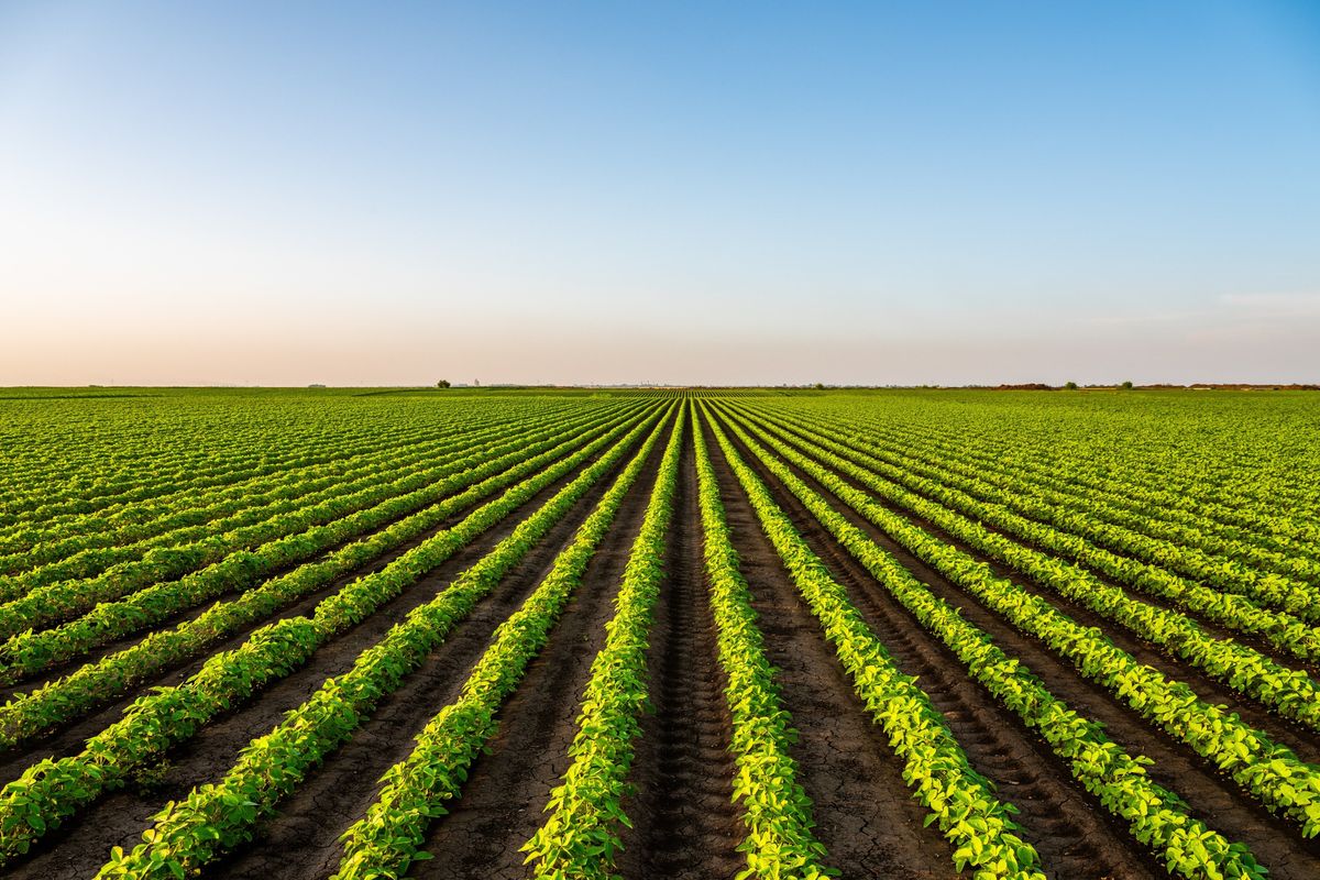 biosolutions agence cabinet conseil consulting