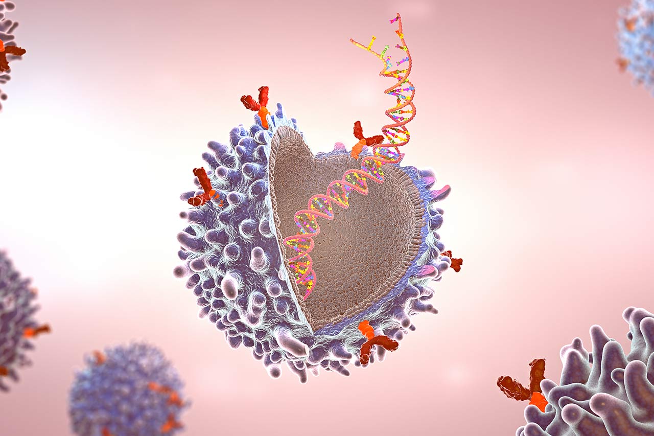 Autologe CAR-T-Zelltherapie Agentur Unternehmensberatung Beratung Consulting