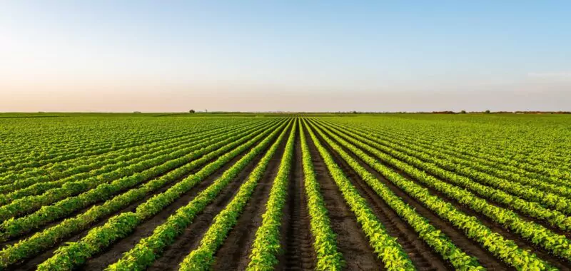 biosolutions agency experts consulting consultancy