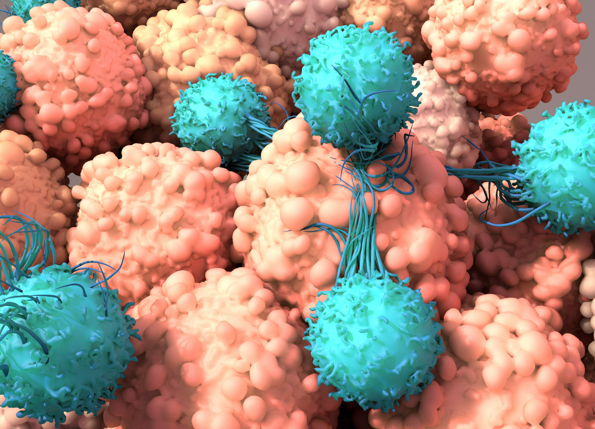 CAR-NK-Zelltherapie Agentur Unternehmensberatung Beratung Consulting