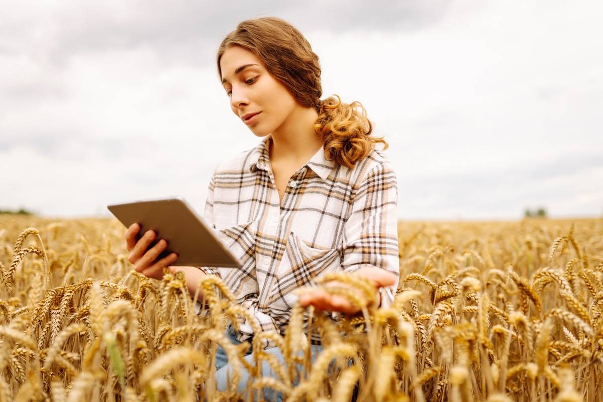 Digitalisierung Lebensmittelindustrie Agentur Unternehmensberatung Beratung Consulting