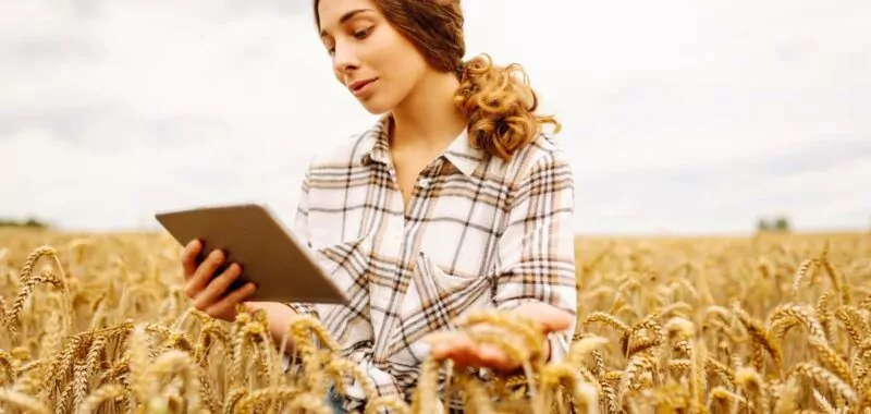 digitalization agri-food sector agency experts consulting consultancy