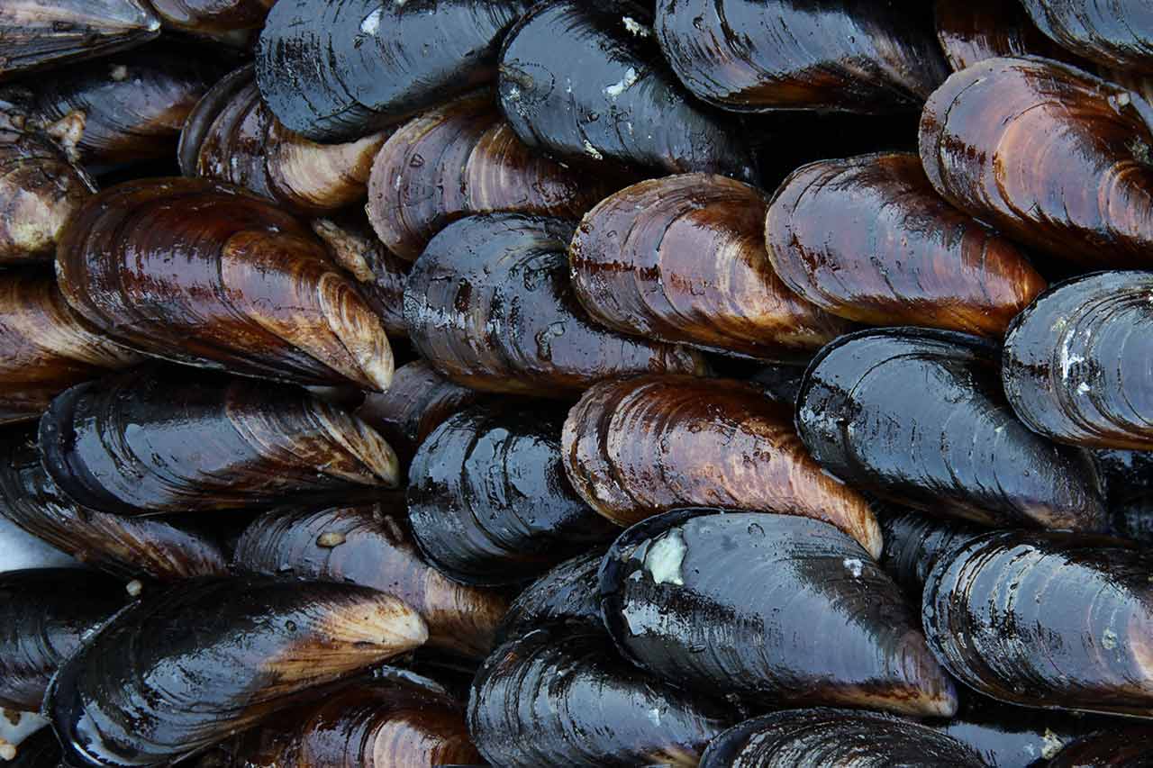 Bionik Kleber Agentur Unternehmensberatung Beratung Consulting