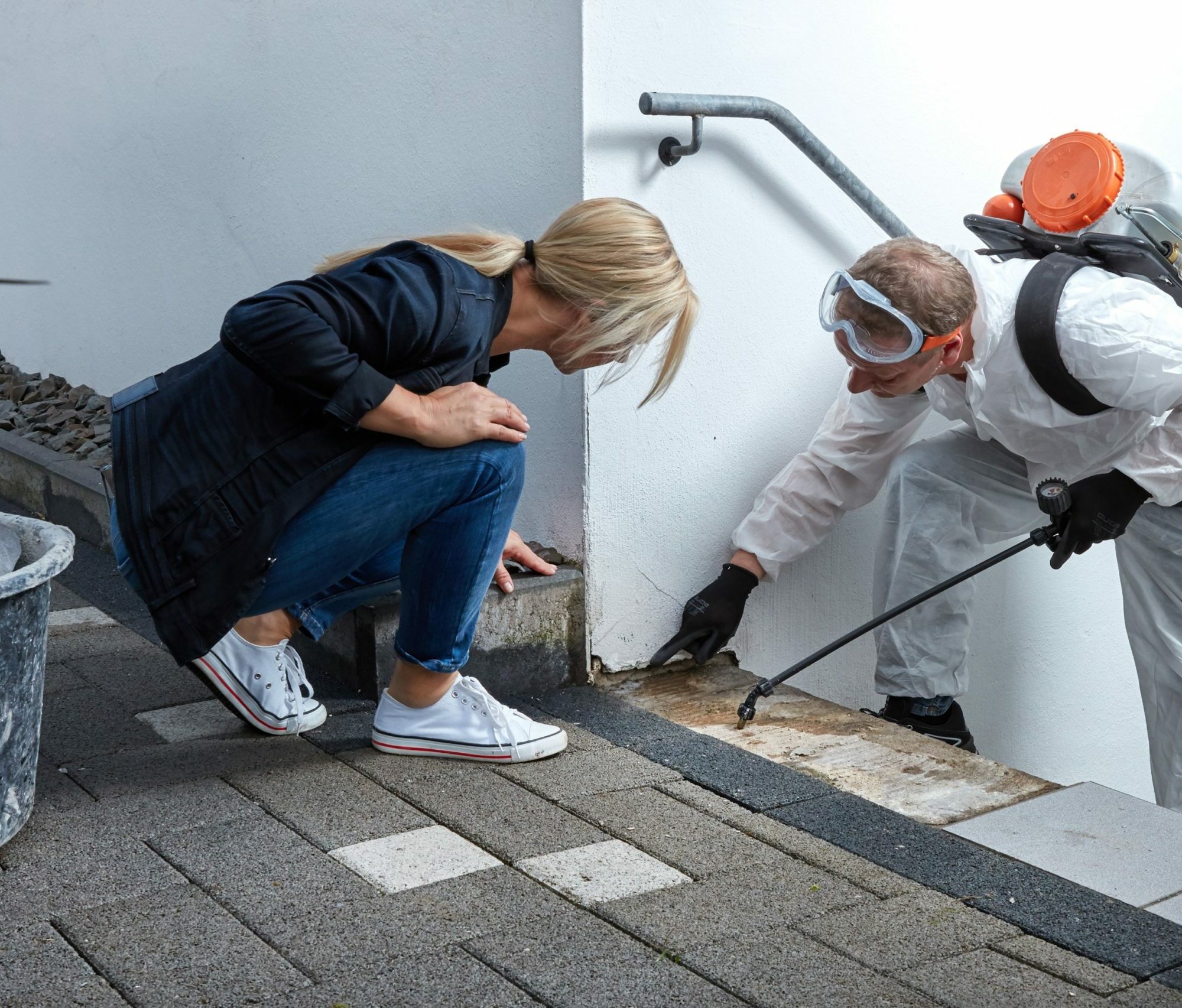 natürliche Schädlingsbekämpfung Agentur Unternehmensberatung Beratung Consulting