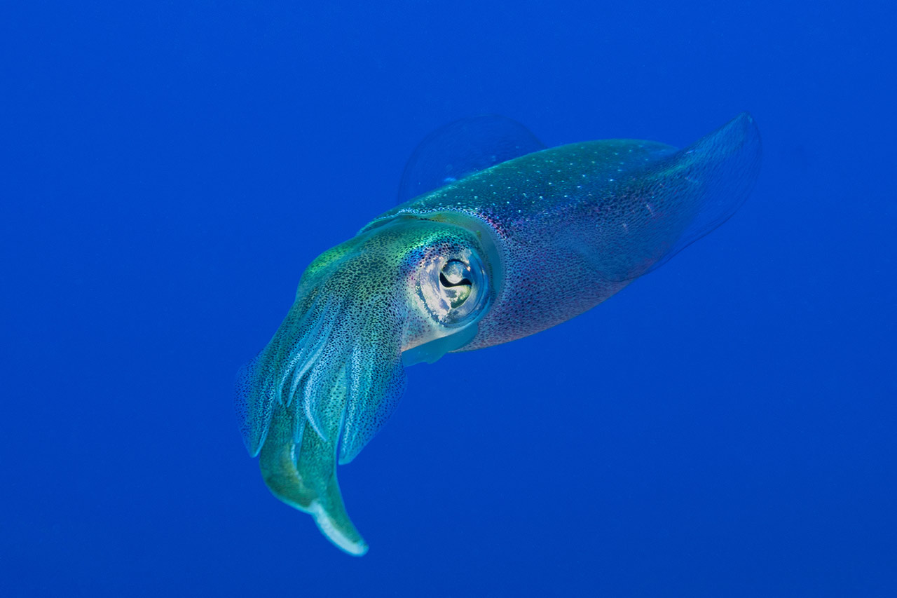 selbstheilende Materialien Agentur Unternehmensberatung Beratung Consulting