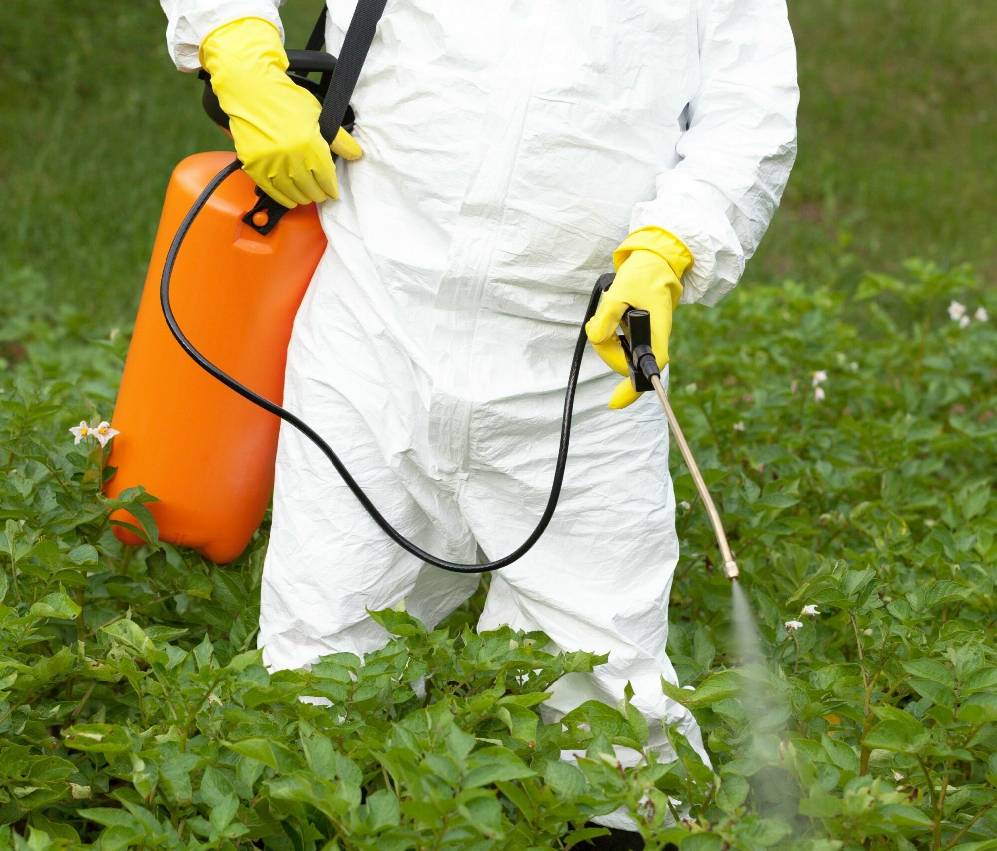 Glyphosat Europa Agentur Unternehmensberatung Beratung Consulting