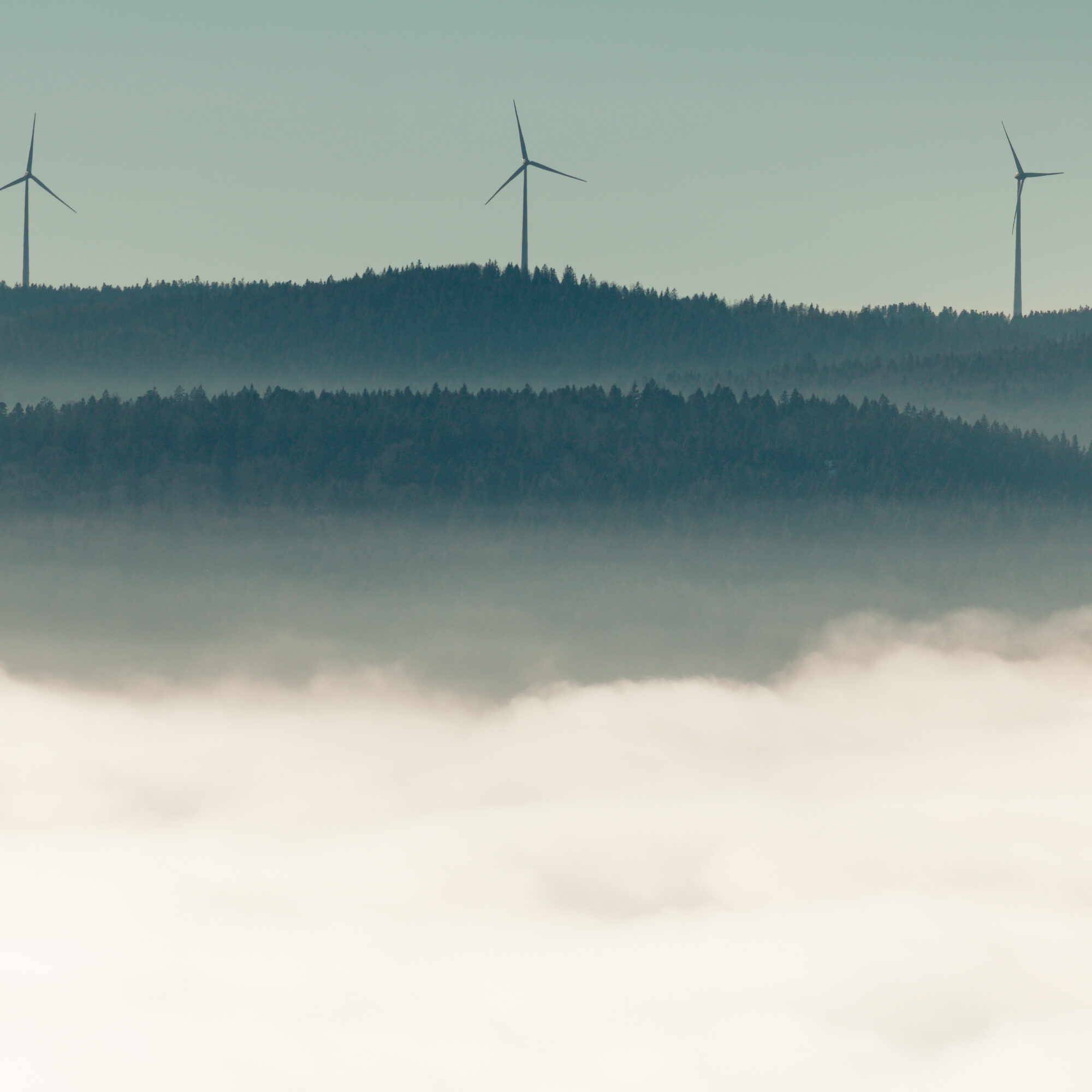 low carbon future experts consulting consultancy agency