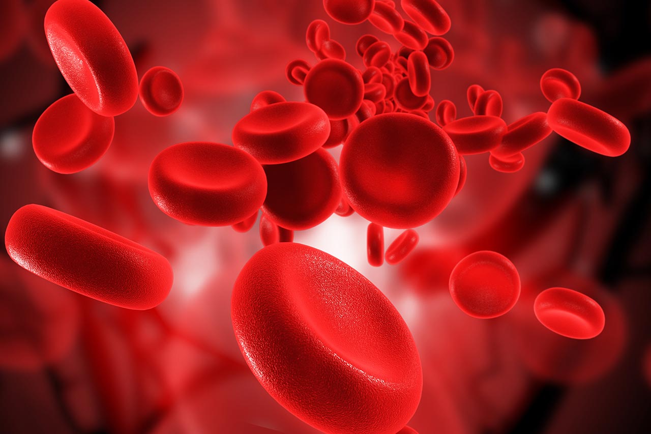 Patient Blood Management Agentur Unternehmensberatung Beratung Consulting