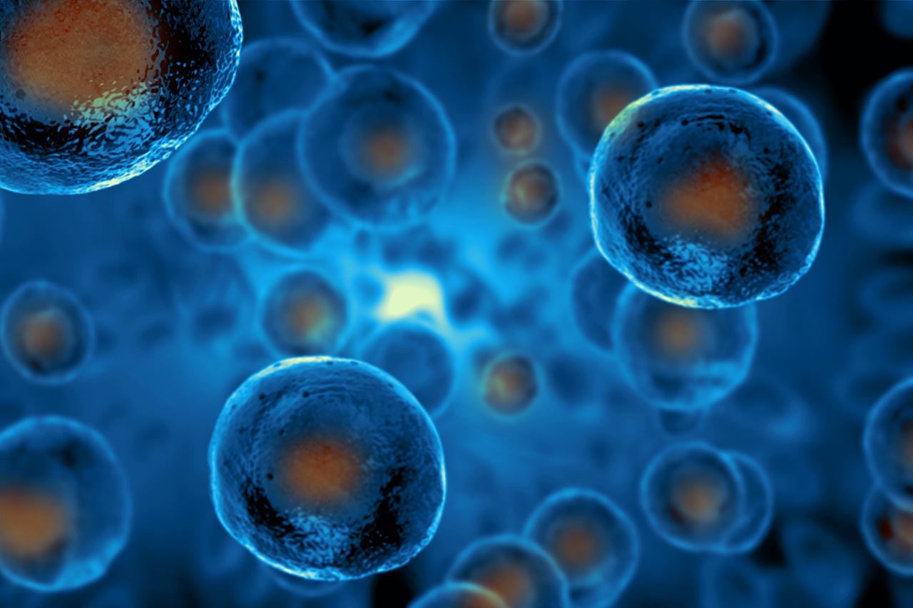 Vitrakvi Preis Agentur Unternehmensberatung Beratung Consulting