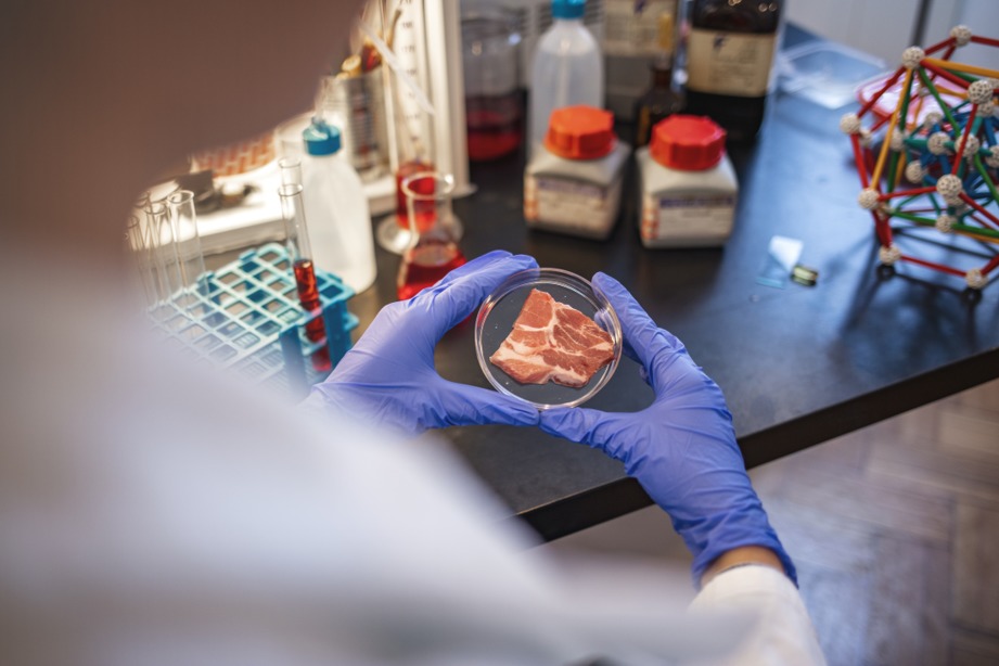 zelluläre Landwirtschaft Agentur Unternehmensberatung Beratung Consulting