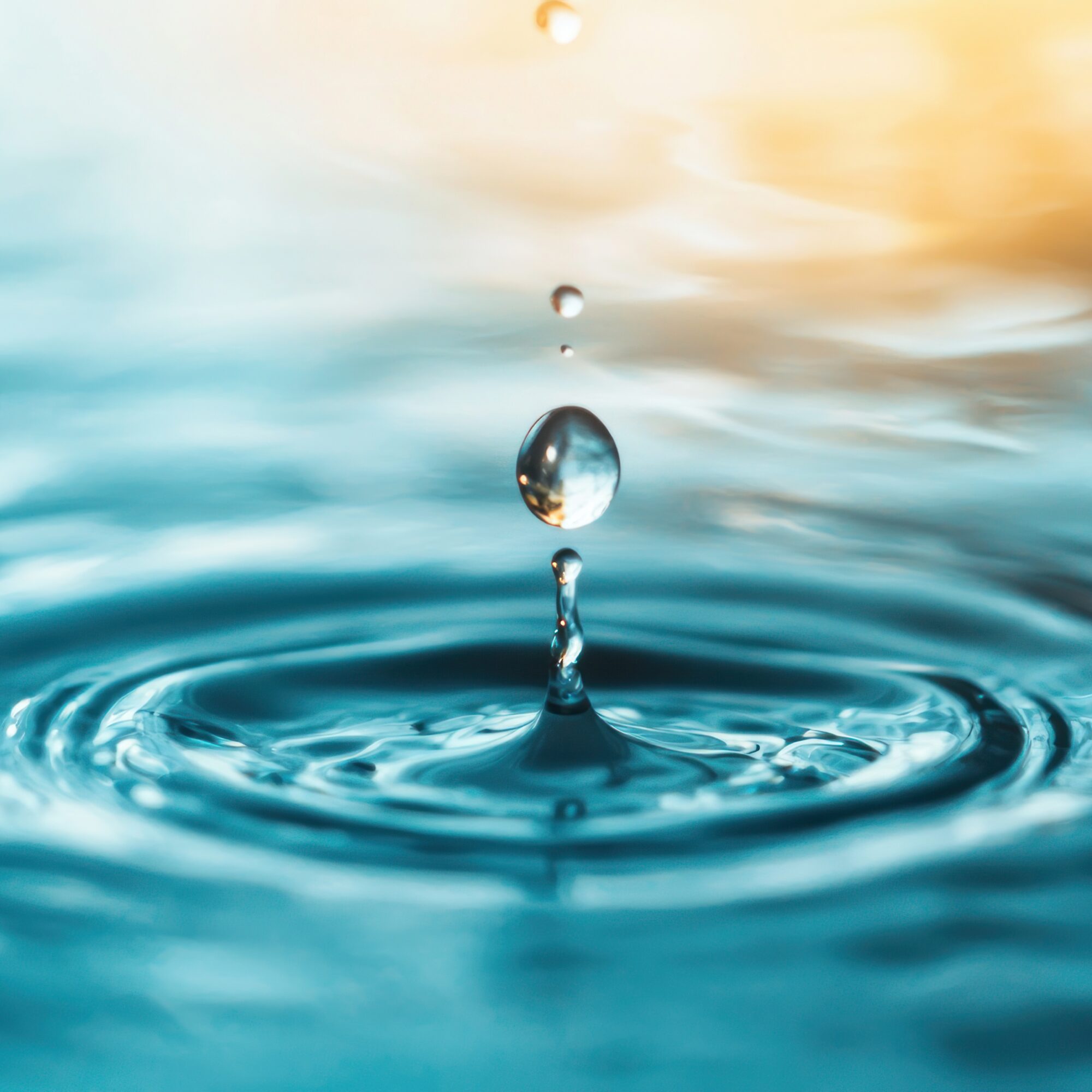 gestion eau demain agence cabinet conseil consulting