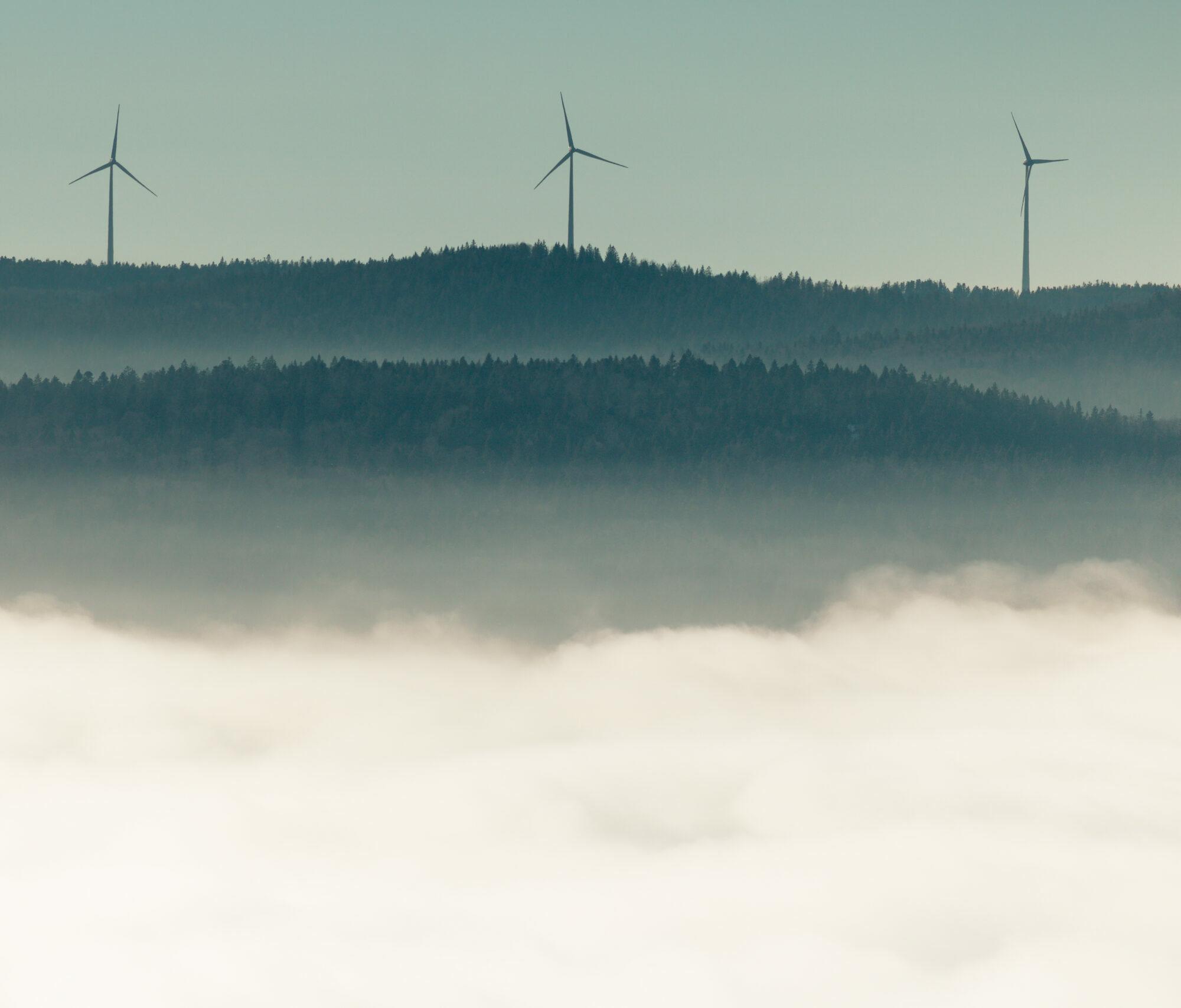 kohlenstoffarme Zukunft Agentur Unternehmensberatung Beratung Consulting