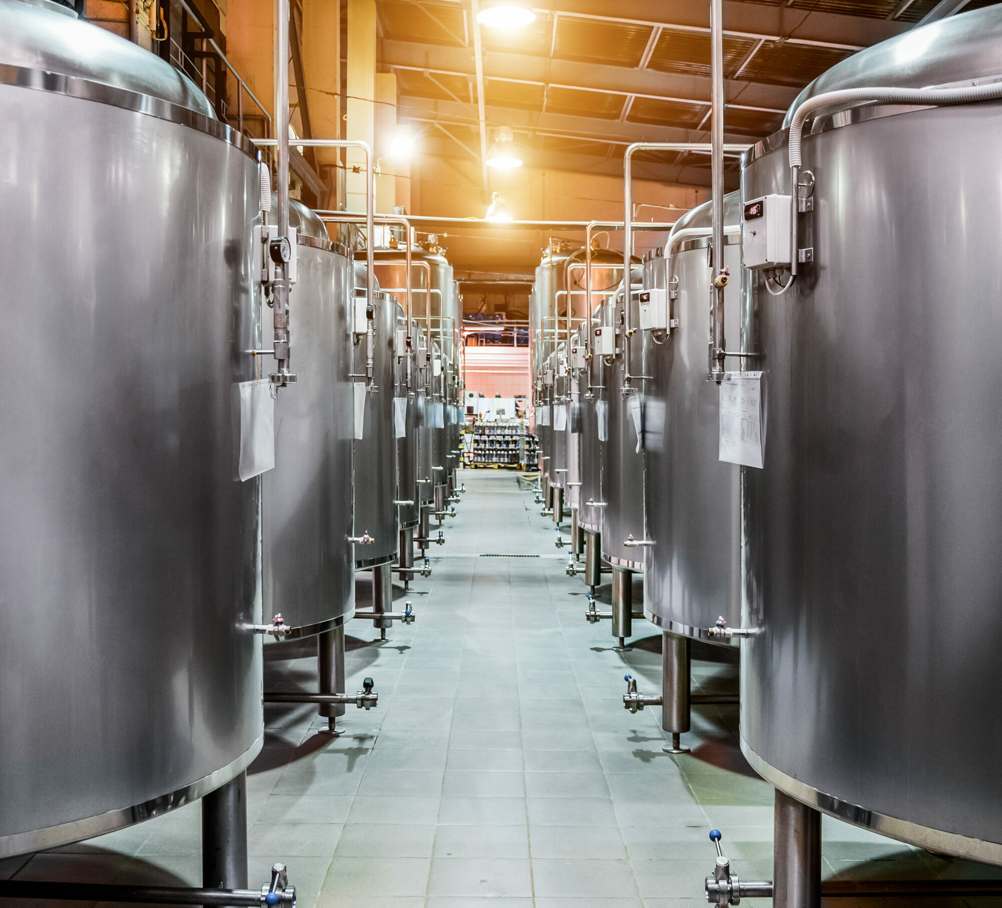 Präzisionsfermentation Agentur Unternehmensberatung Beratung Consulting