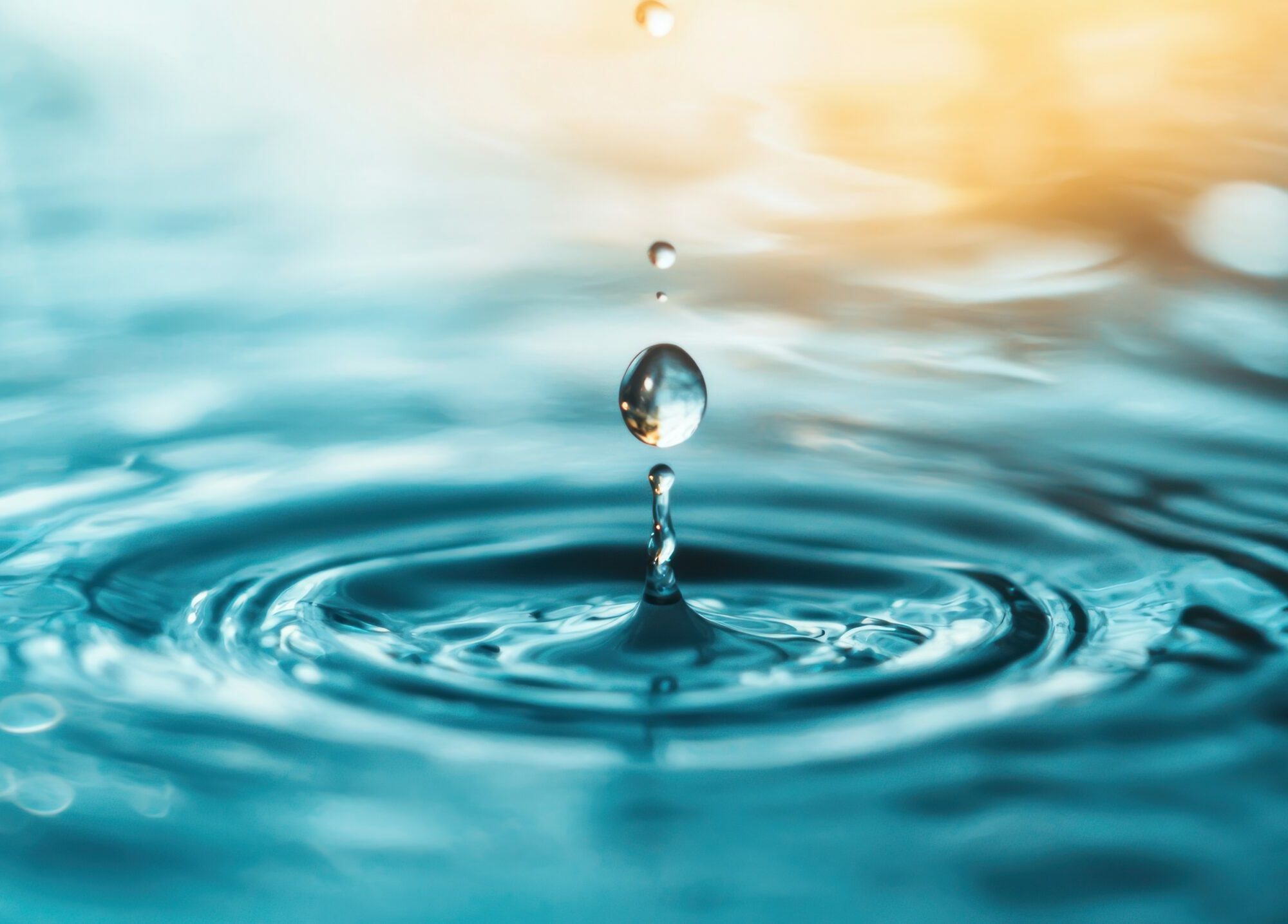 water management tomorrow agency consulting consultancy experts