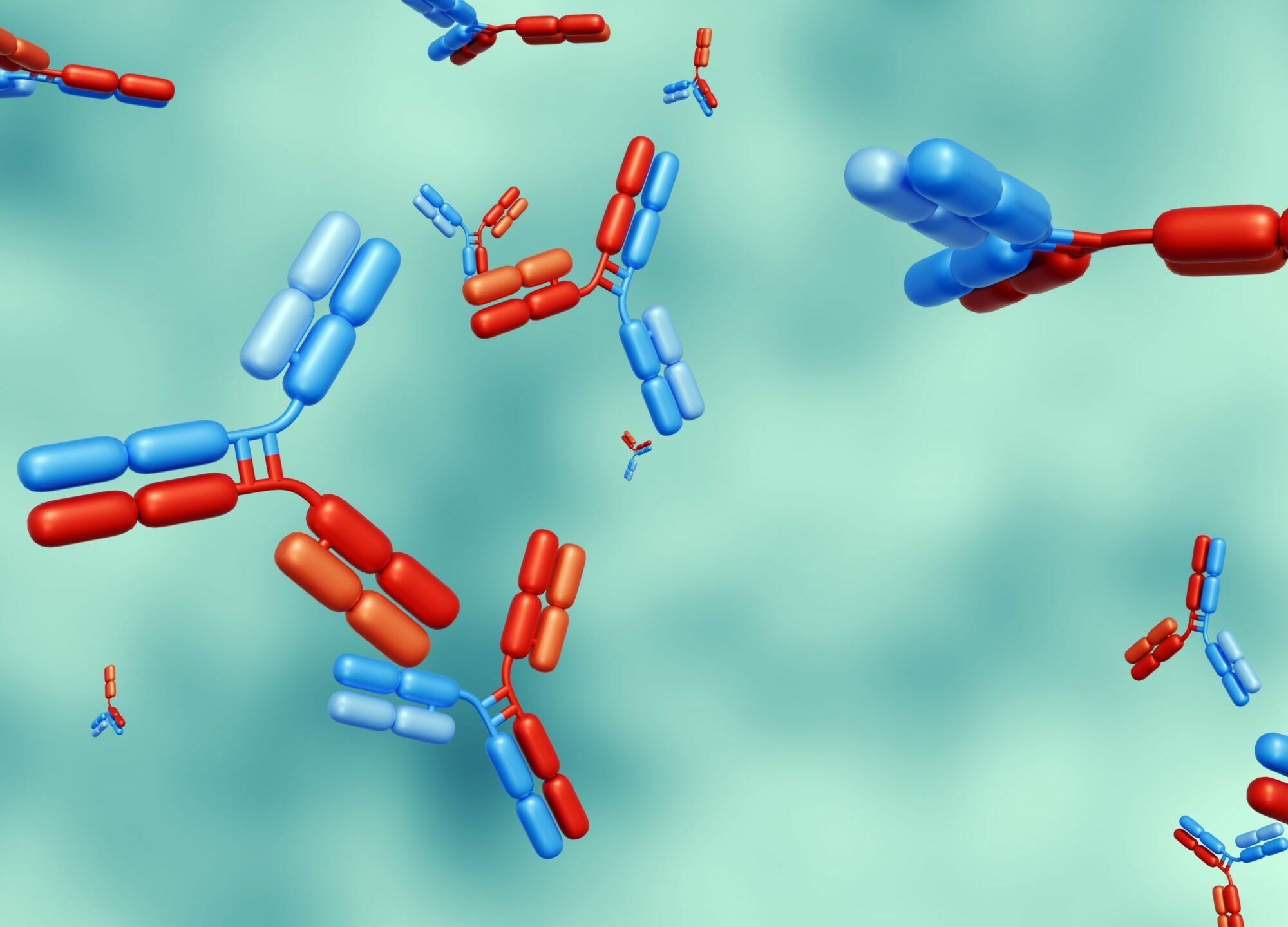 bispezifische Antikörper Agentur Unternehmensberatung Beratung Consulting