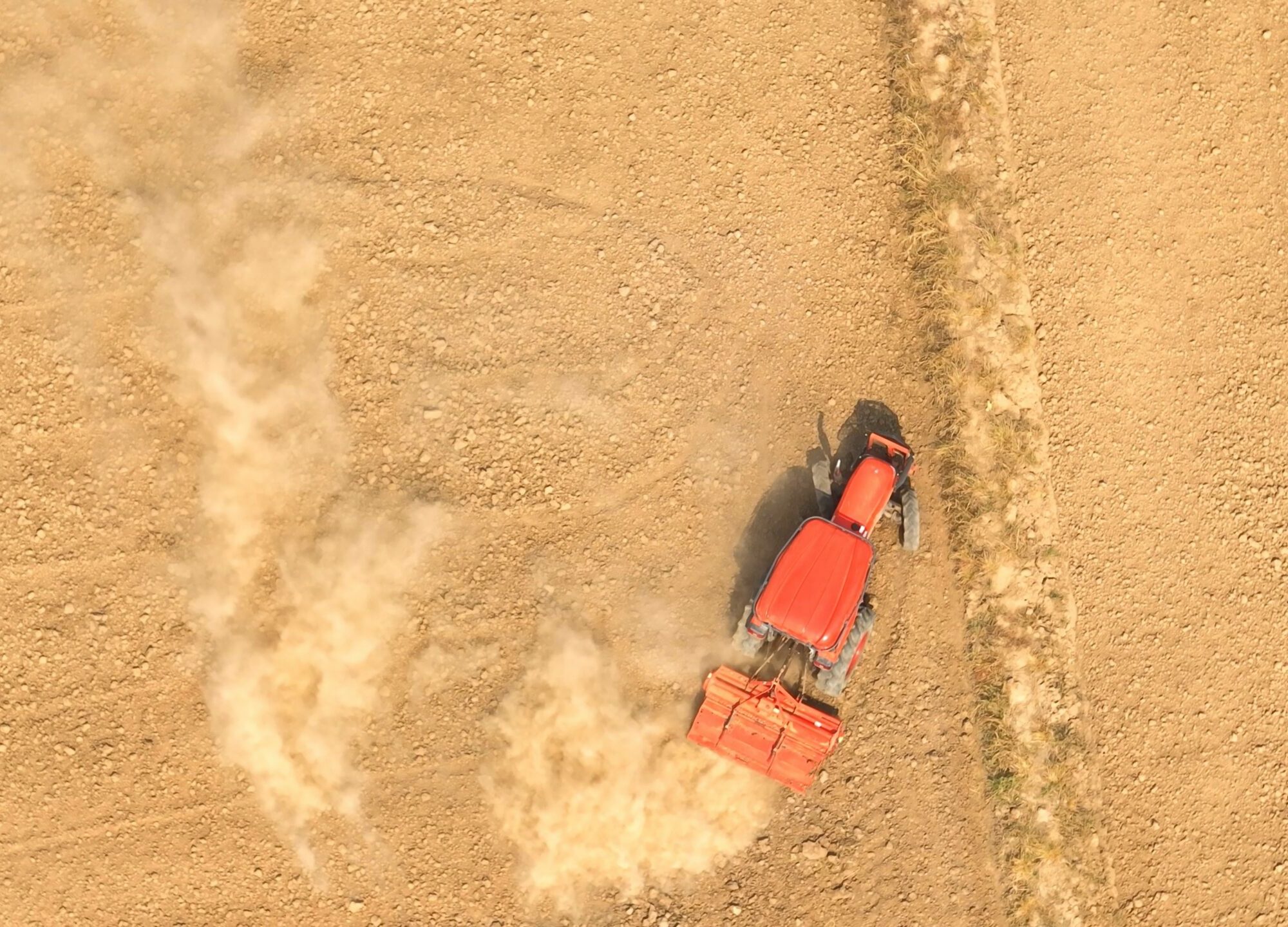 Klimawandel Ernährungssicherheit Agentur Unternehmensberatung Beratung Consulting