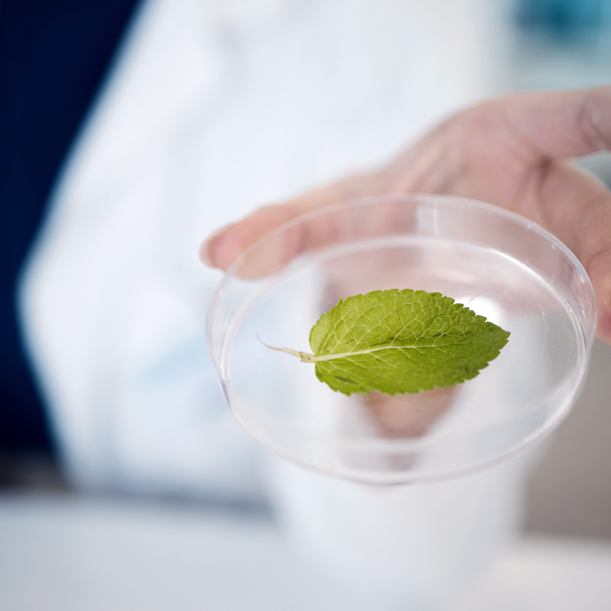 sustainability pharma R&D agency consulting consultancy experts