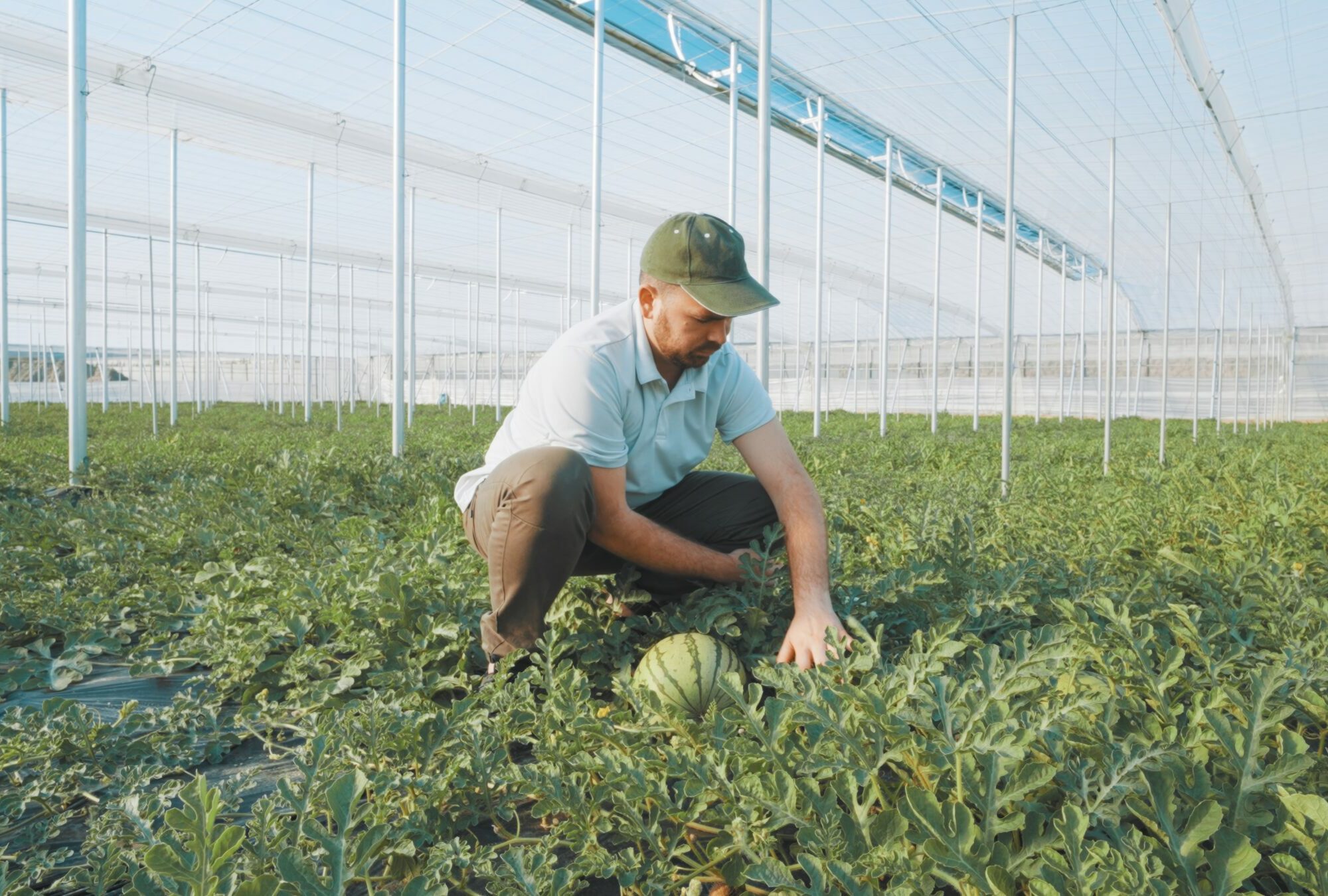 Innovationen nachhaltige Landwirtschaft Agentur Unternehmensberatung Beratung Consulting