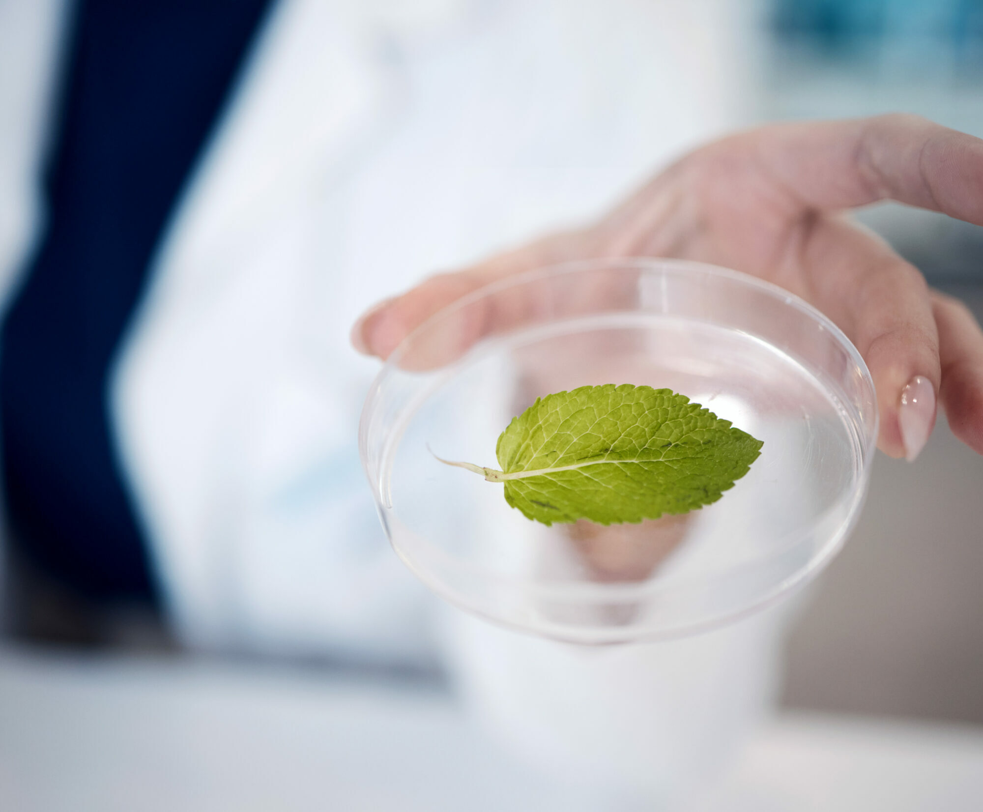 Nachhaltigkeit in der pharmazeutischen Forschung und Entwicklung Agentur Unternehmensberatung Beratung Consulting